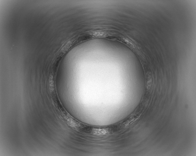 X0000054370469200508262346