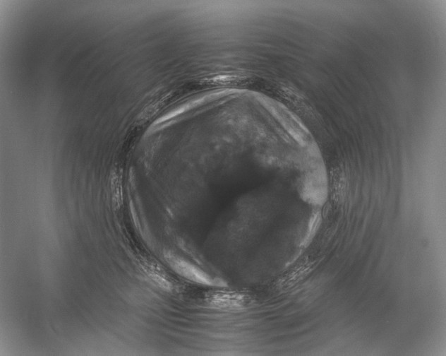 X0000054370471200508262346