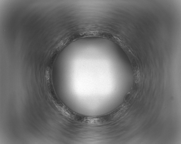 X0000054370472200508262346