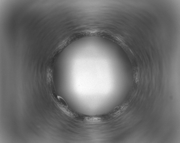 X0000054370476200508262346