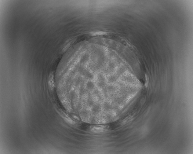 X0000054370479200508262346