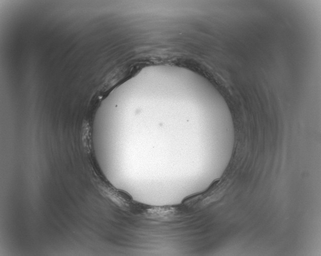 X0000054370480200508262346