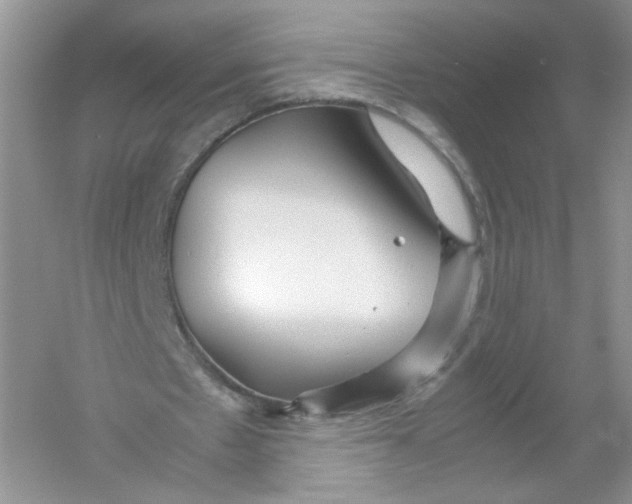 X0000054370481200508262345