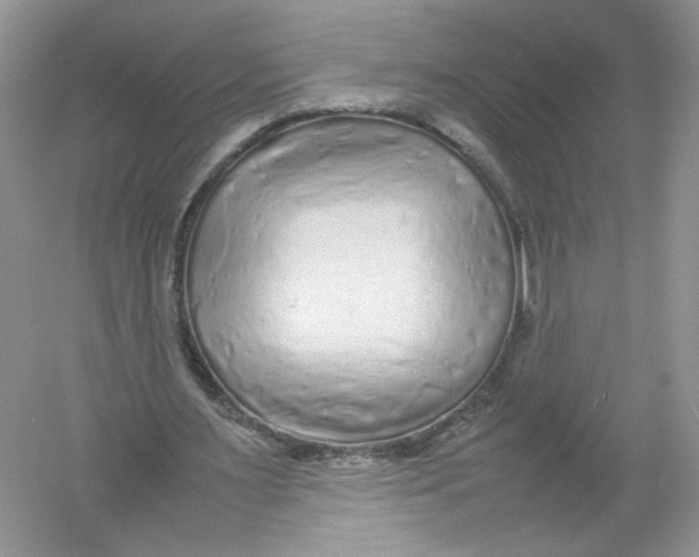 X0000054370483200508262345