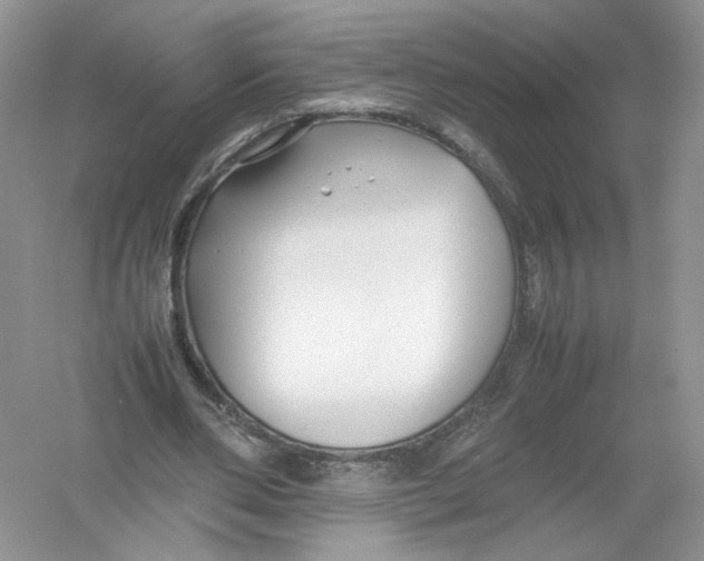 X0000054370486200508262345