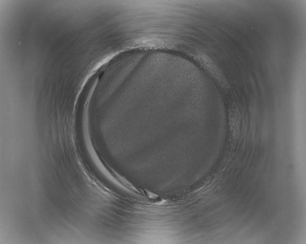 X0000054370488200508262345