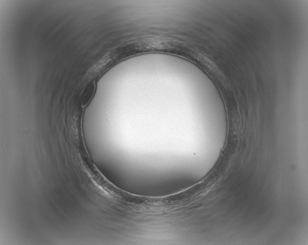 X0000054370489200508262345