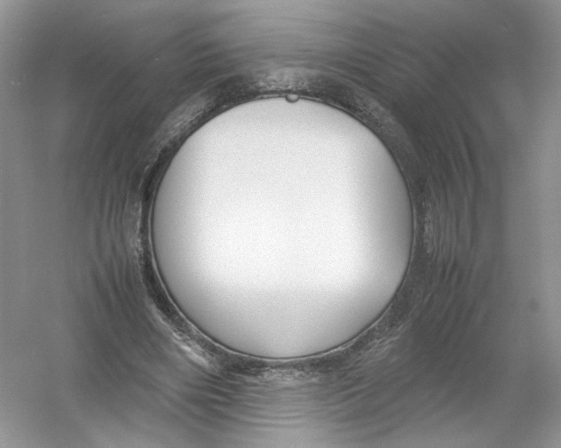 X0000054370490200508262345