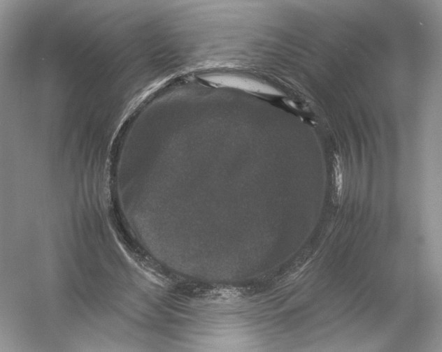 X0000054370492200508262345