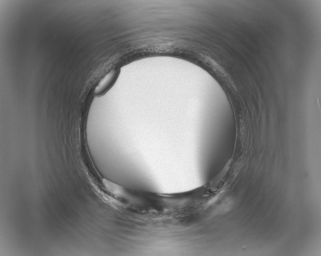 X0000054370493200508262345