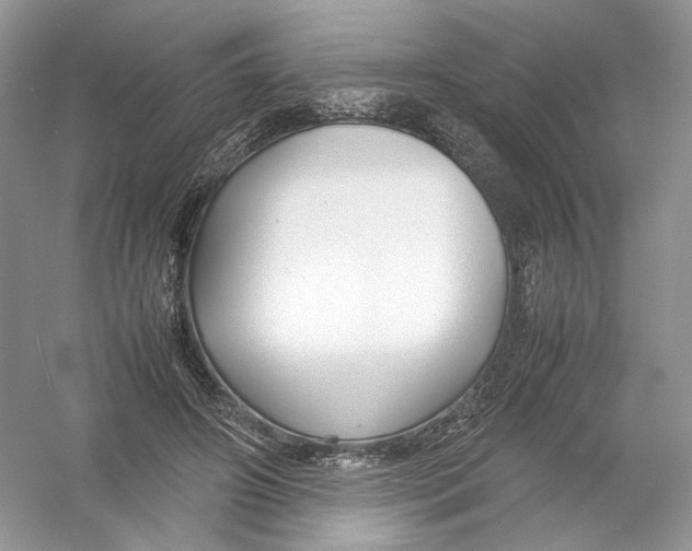 X0000054370498200508262345