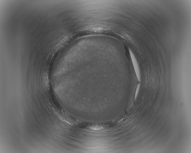 X0000054370500200508262345