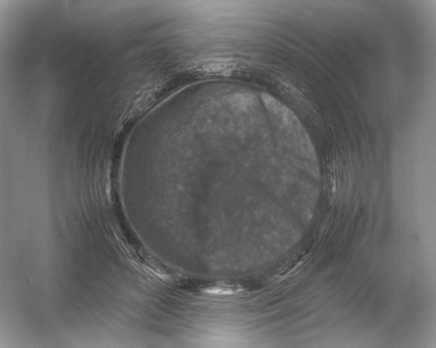 X0000054370504200508262345