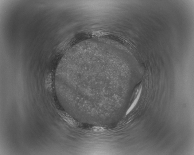 X0000054370519200508262344