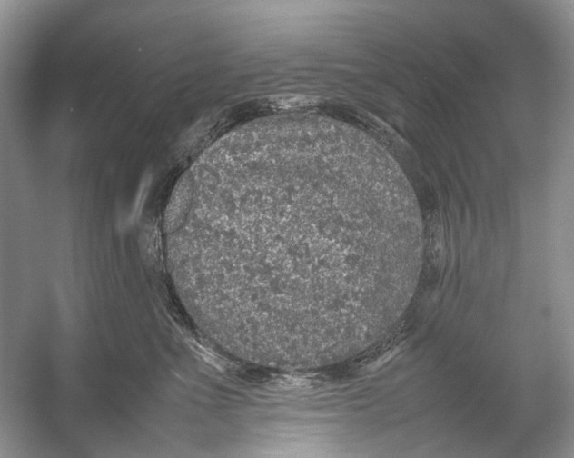 X0000054370523200508262344