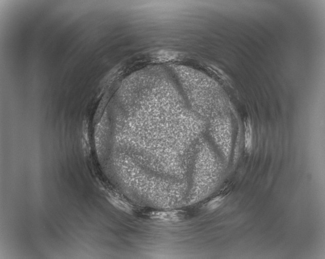 X0000054370524200508262344