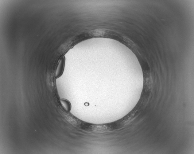 X0000054370525200508262344