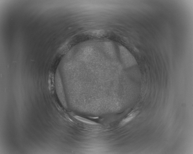 X0000054370528200508262344