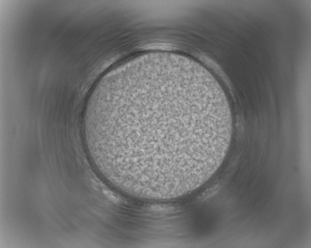 X0000054370529200508262343