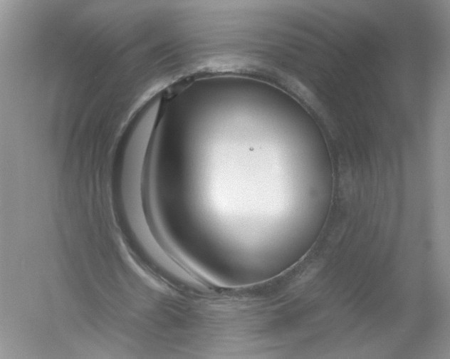 X0000054370530200508262343