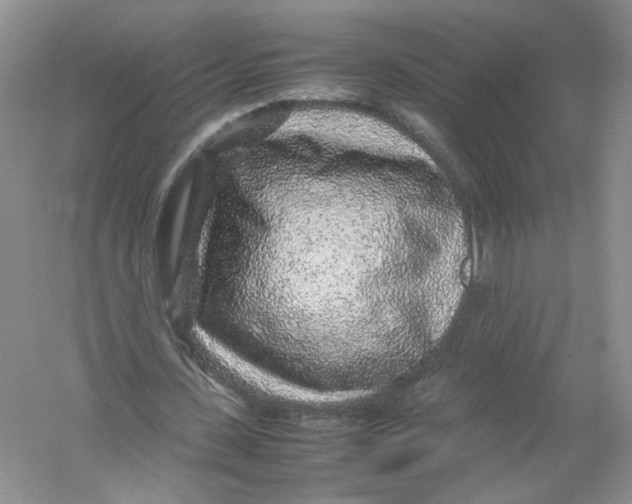 X0000054370531200508262343