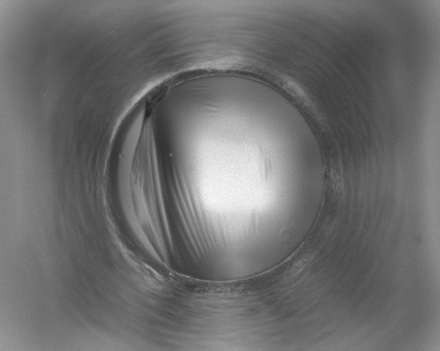 X0000054370532200508262344