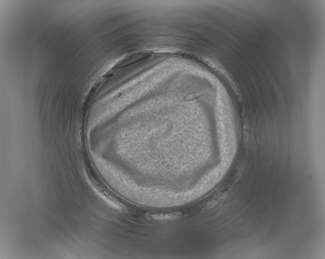 X0000054370533200508262344