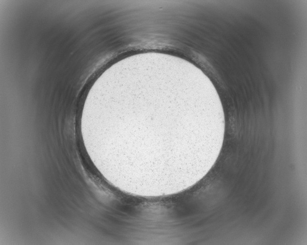 X0000054370534200508262344