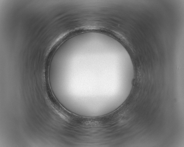 X0000054370535200508262344