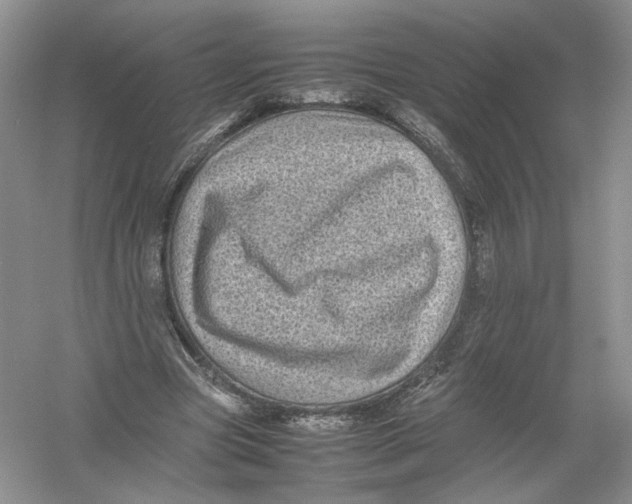 X0000054370537200508262344