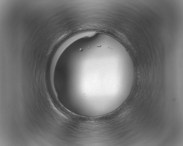 X0000054370538200508262344