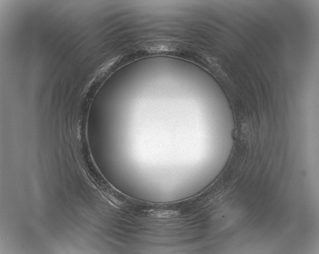 X0000054370539200508262344