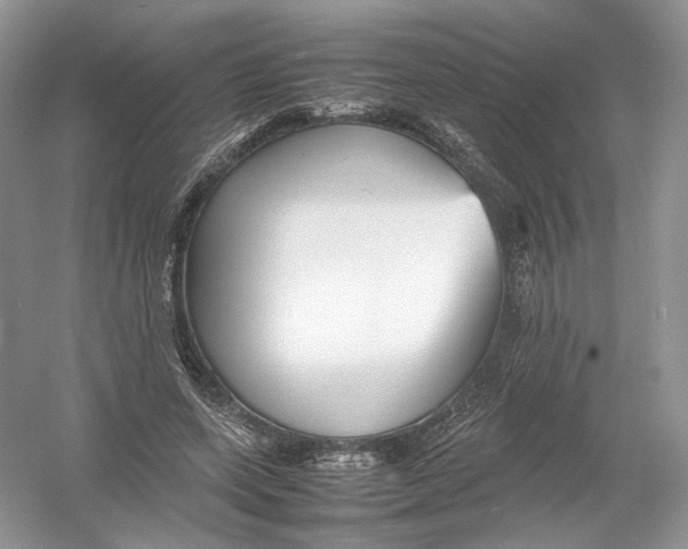 X0000054370543200508262344