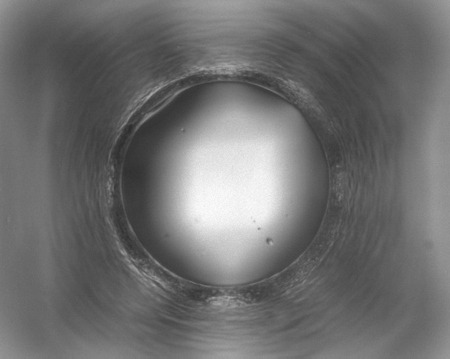 X0000054370544200508262344