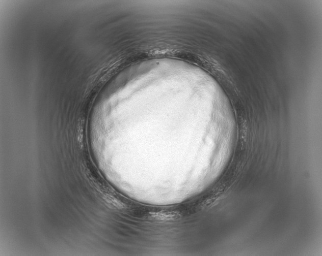 X0000054370545200508262344