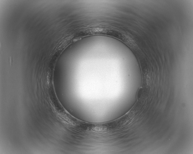 X0000054370546200508262344