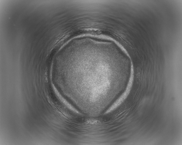 X0000054370547200508262344