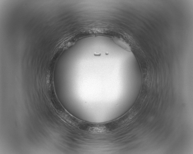 X0000054370548200508262344