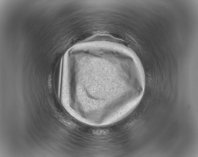 X0000054370549200508262344