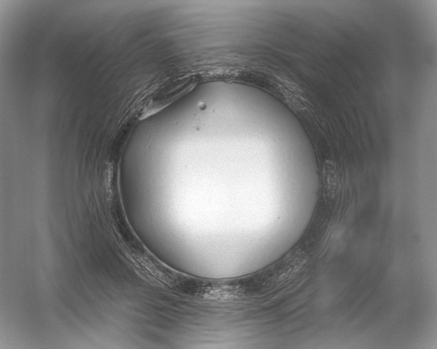 X0000054370550200508262344