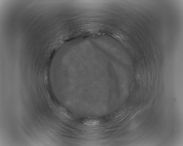 X0000054370551200508262344