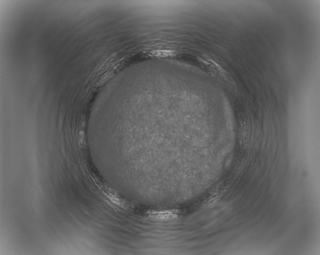 X0000054370553200508262344