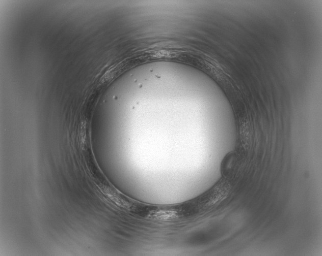 X0000054370554200508262344