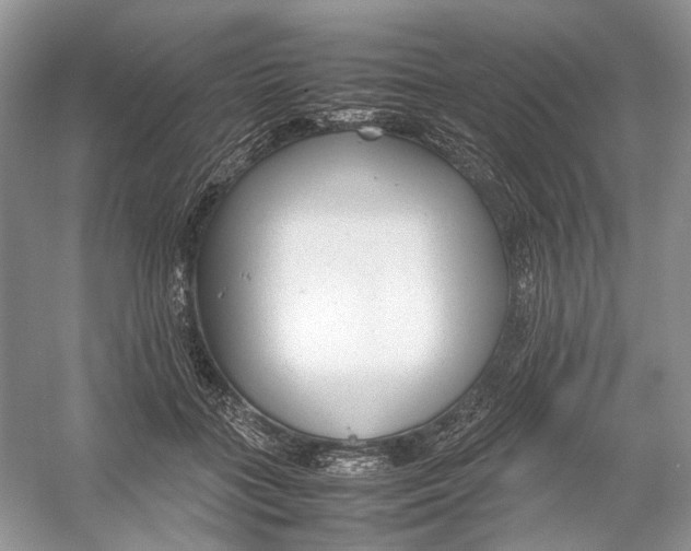 X0000054370555200508262344