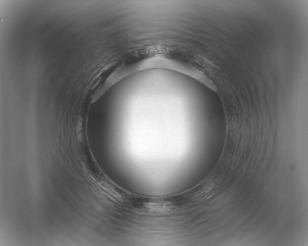 X0000054370556200508262344