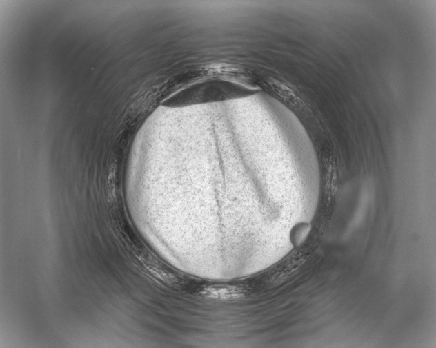 X0000054370557200508262344