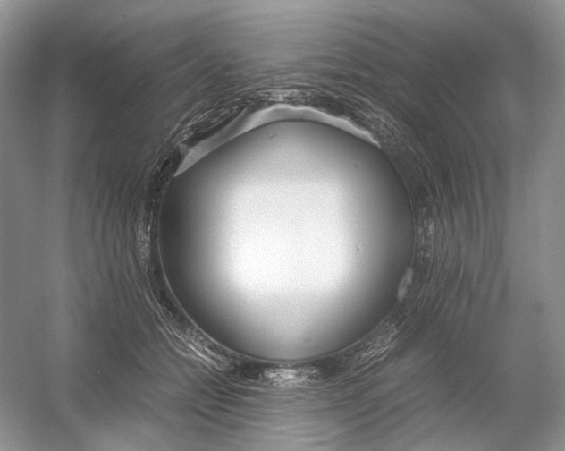 X0000054370558200508262344