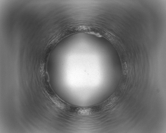 X0000054370560200508262344