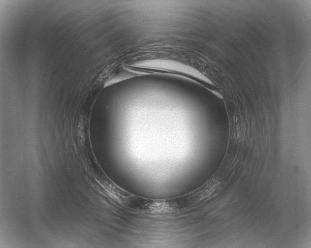 X0000054370562200508262344