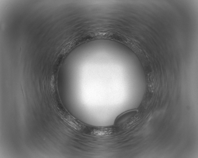 X0000054370563200508262344